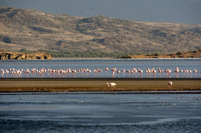 Lake Natron